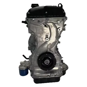 Petrol Long Engine